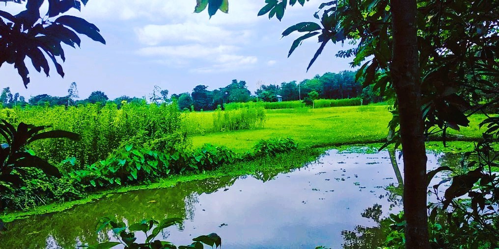 বর্ষার স্মৃতির ডায়েরি