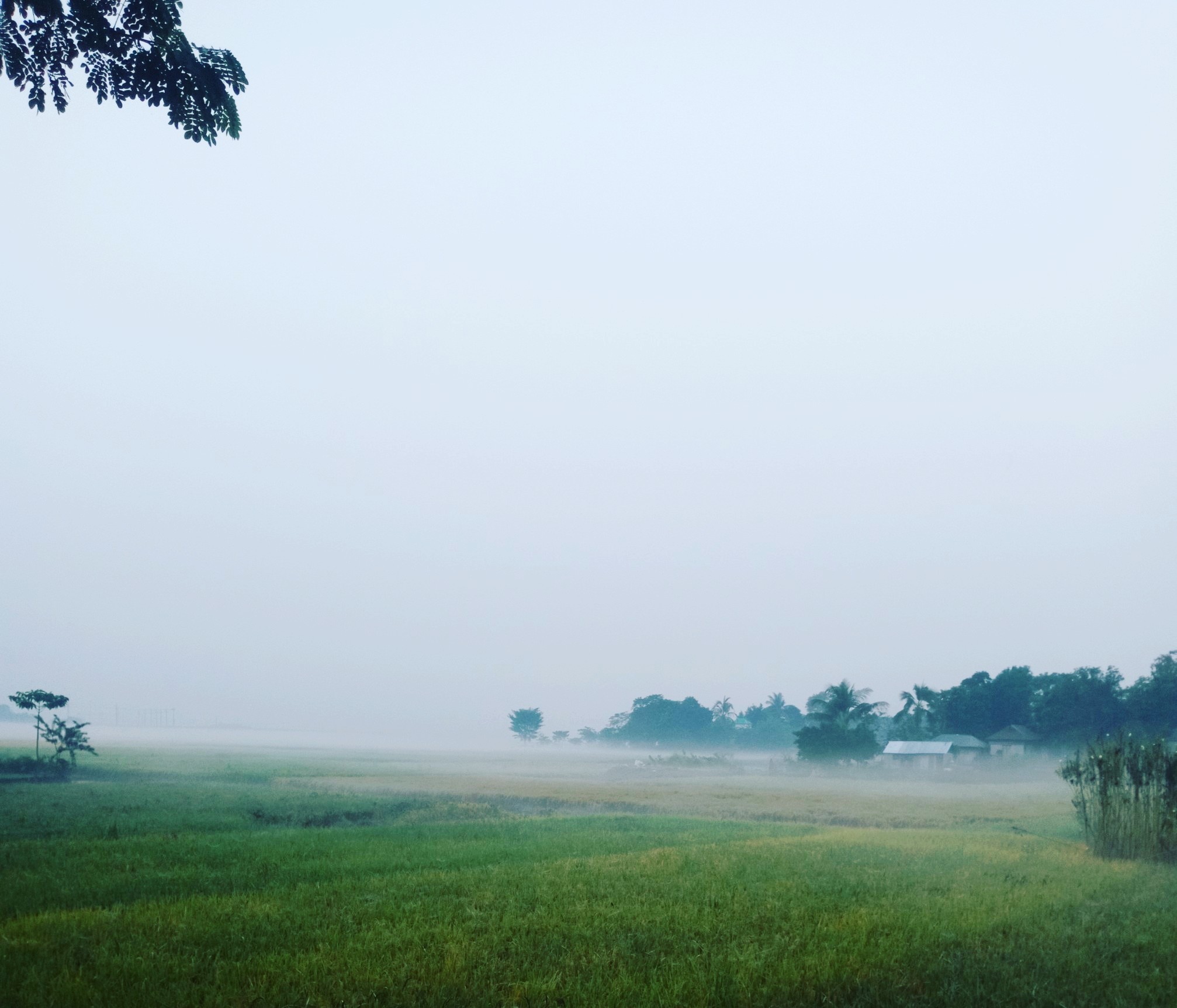 ভালো থেকো দেশ